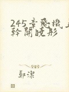 245章飞机上干关晓彤