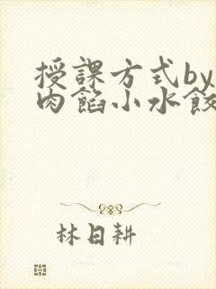 授课方式by 肉馅小水饺