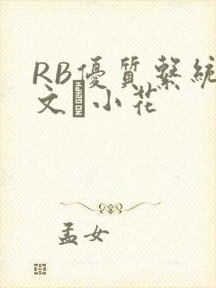 RB优质系统全文寀小花