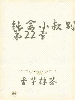 纯禽小叔别太猛第22章