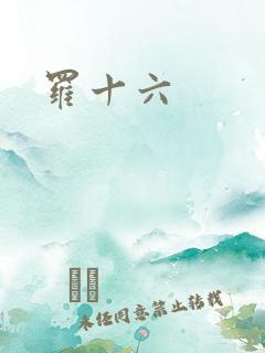 罗十六