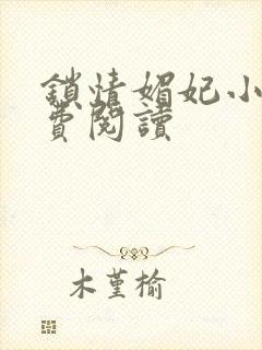 锁情媚妃小说免费阅读