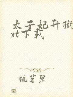 太子妃升职记txt下载