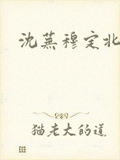 沈芜穆定北小说