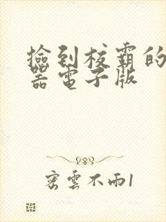 捡到校霸的遥控器电子版