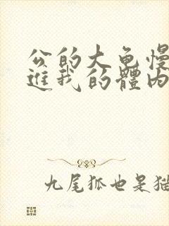 公的大龟慢慢挺进我的体内