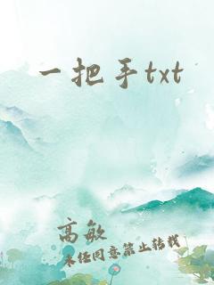 一把手txt