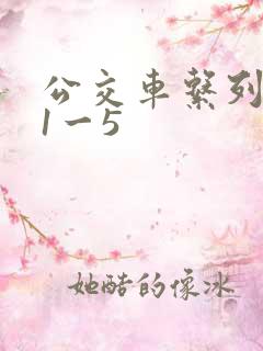 公交车系列合集1一5