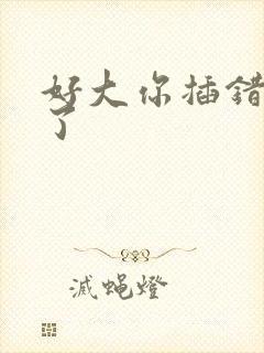 好大你插错地方了