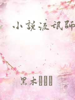 小说流氓师表