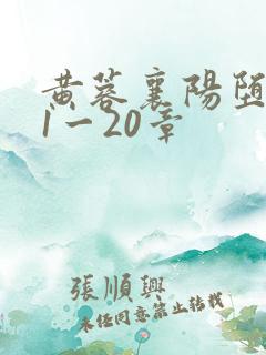 黄蓉襄阳堕落史1一20章