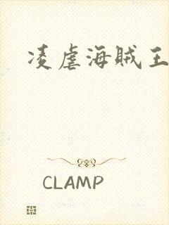 凌虐海贼王娜米