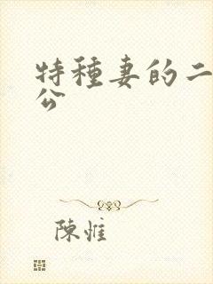 特种妻的二手老公