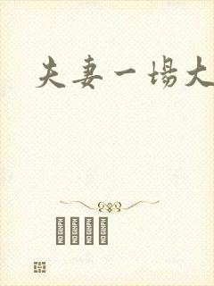 夫妻一场大结局