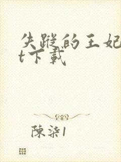 失踪的王妃txt下载