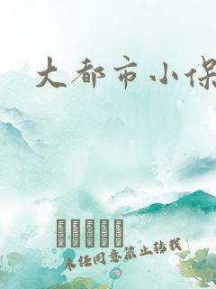 大都市小保安