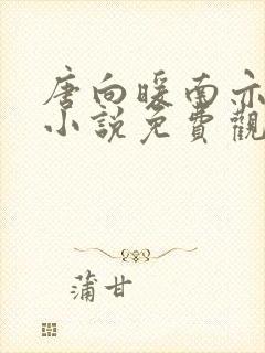 唐向暖南亦琛的小说免费观看