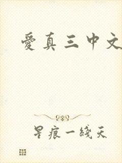 爱真三中文网