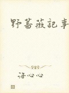 野蔷薇记事薄