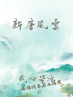 新唐风云