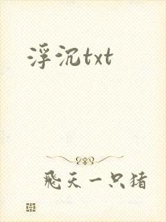 浮沉txt
