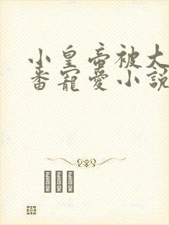 小皇帝被大臣轮番宠爱小说