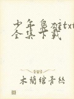 少年枭雄txt全集下载