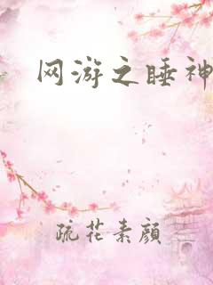 网游之睡神传说