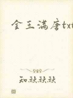 金玉满唐txt