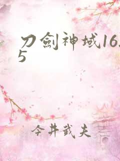 刀剑神域16.5