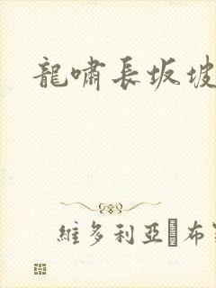 龙啸长坂坡