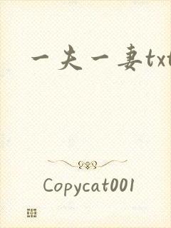 一夫一妻txt