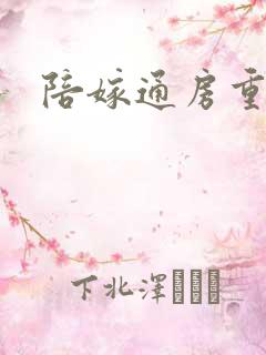 陪嫁通房重生记