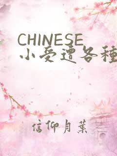 CHINESE小受遭各种打桩