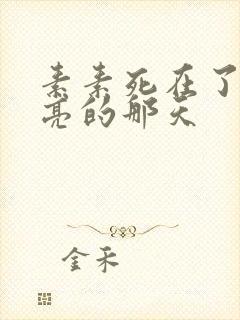 素素死在了最漂亮的那天