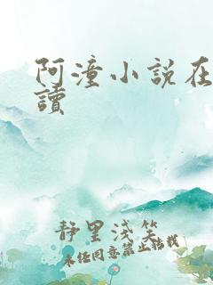 阿潼小说在线阅读