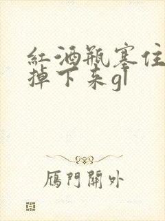 红酒瓶塞住不准掉下来gl