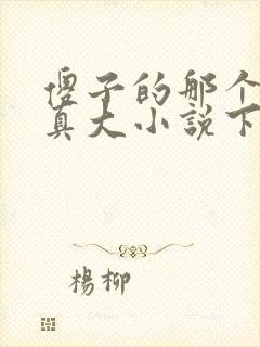 傻子的那个东西真大小说下载