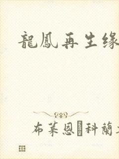 龙凤再生缘