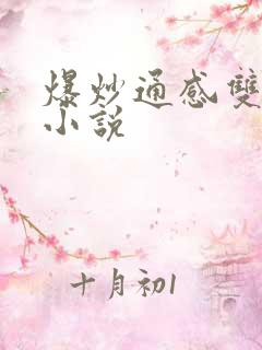 爆炒通感双胞胎小说