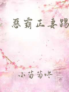 恶霸正妻踢娇妾