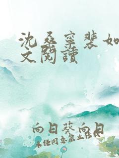 沈桑宁裴如衍全文阅读