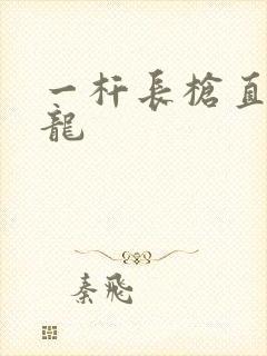 一杆长枪直捣黄龙