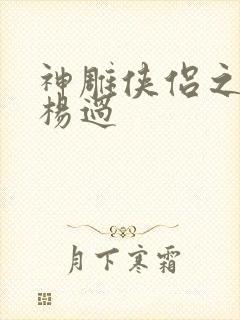 神雕侠侣之我是杨过