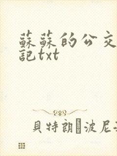 苏苏的公交车日记txt