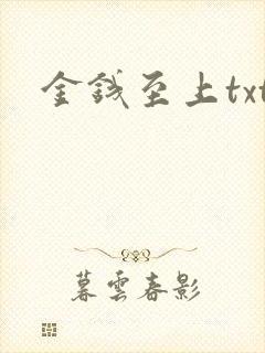 金钱至上txt