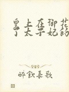 皇上在御花园c了太子妃的网剧