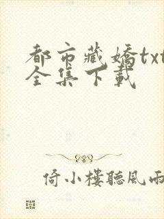 都市藏娇txt全集下载