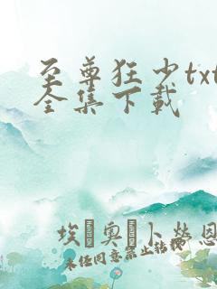 至尊狂少txt全集下载