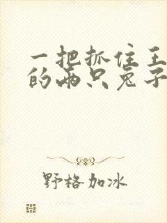 一把抓住王昭君的两只兔子